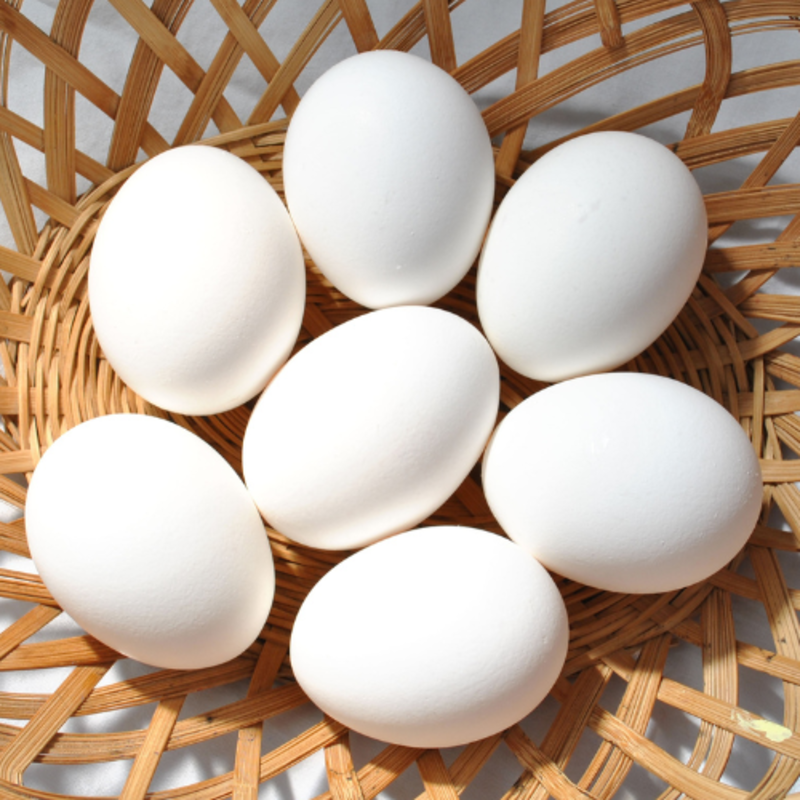 Classic Eggs (6Pcs)