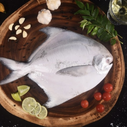 Pomfret Medium Whole (500grms)