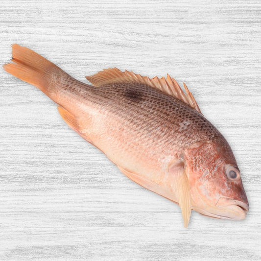 Red Snapper / Tamb Whole (1kg)